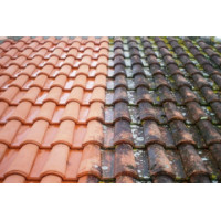 ANTILICHEN MUSLICK 10L
