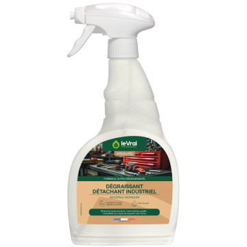 (CLEAN POWER EXTRA) DEGRAISSANT DETACHANT INDUSTRIEL 750 ML